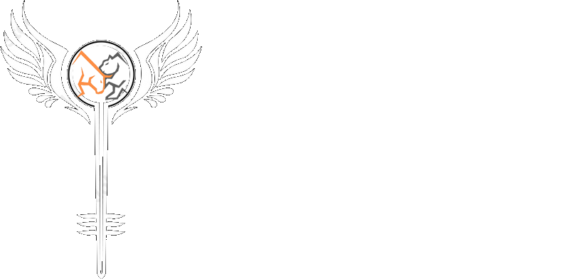 Valkyrie Holding Ltd